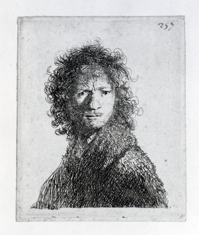 Self Portrait, 1630 by Rembrandt van Rijn